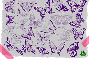 120 Butterfly Procreate Stamps