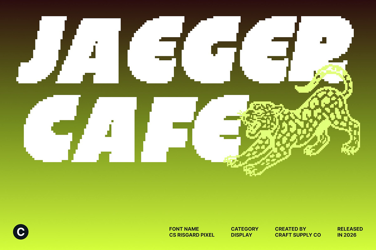 CS Risgard Pixel, a Sans Serif Font by Craft Supply Co. (Photo 2 of 8)