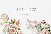 Gentle Peony Floral, a Decorative Illustration by heyiamalice (Thumbnail 5 of 10)