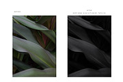 FINE ART BLACK + WHITE PS ACTIONS, an Action Add-On by Foto Rx Co. (Thumbnail 10 of 14)