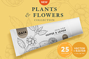 Plants & Flowers Collection, a Decorative Illustration by Sinclair Creative Agency (Thumbnail 1 of 8)