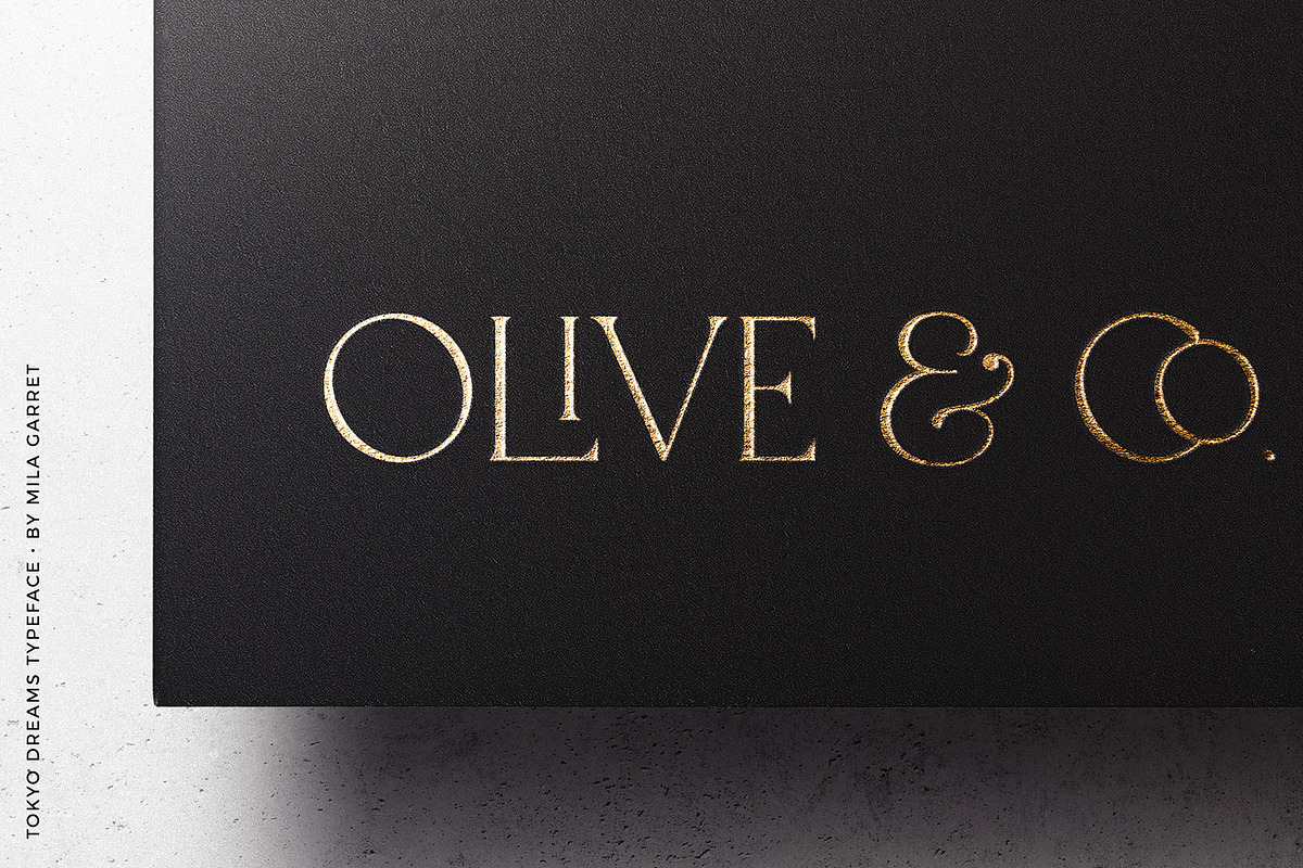Tokyo Dreams Display Ligature Serif, a Serif Font by Mila Garret (Photo 15 of 28)