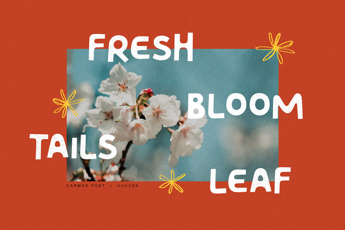 Carmos, a Sans Serif Font by vuuuds (Photo 8 of 9)