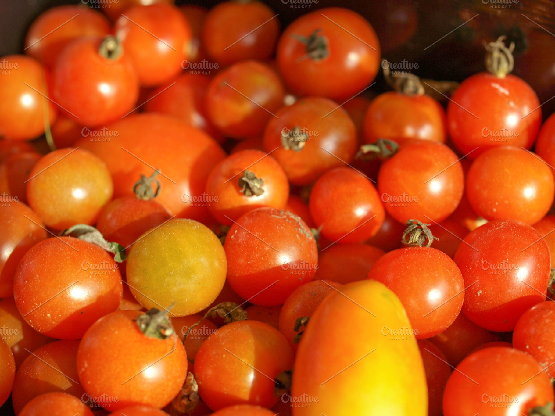 Cherry Tomato Featuring Tomato Tomatoes And Tomatos