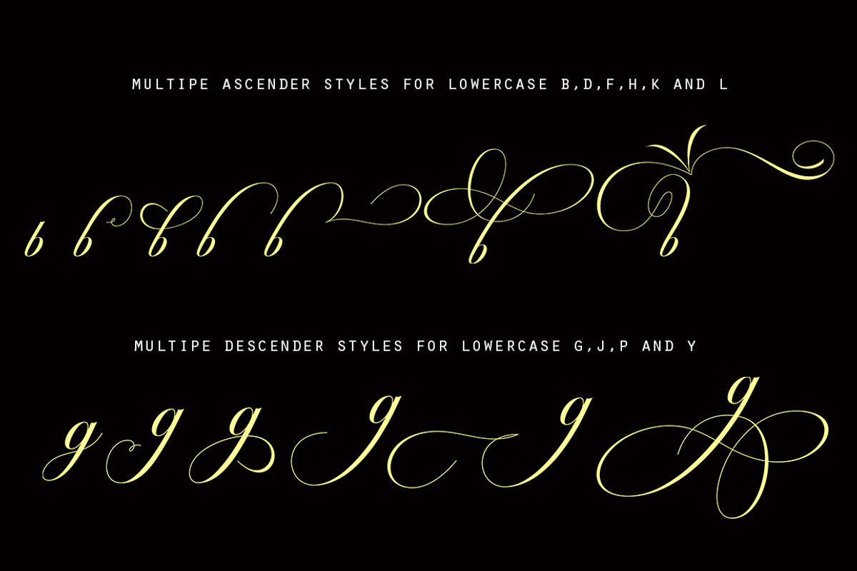 Octagon Calligraphy, a Script Font by Slex Studio (Photo 3 of 8)