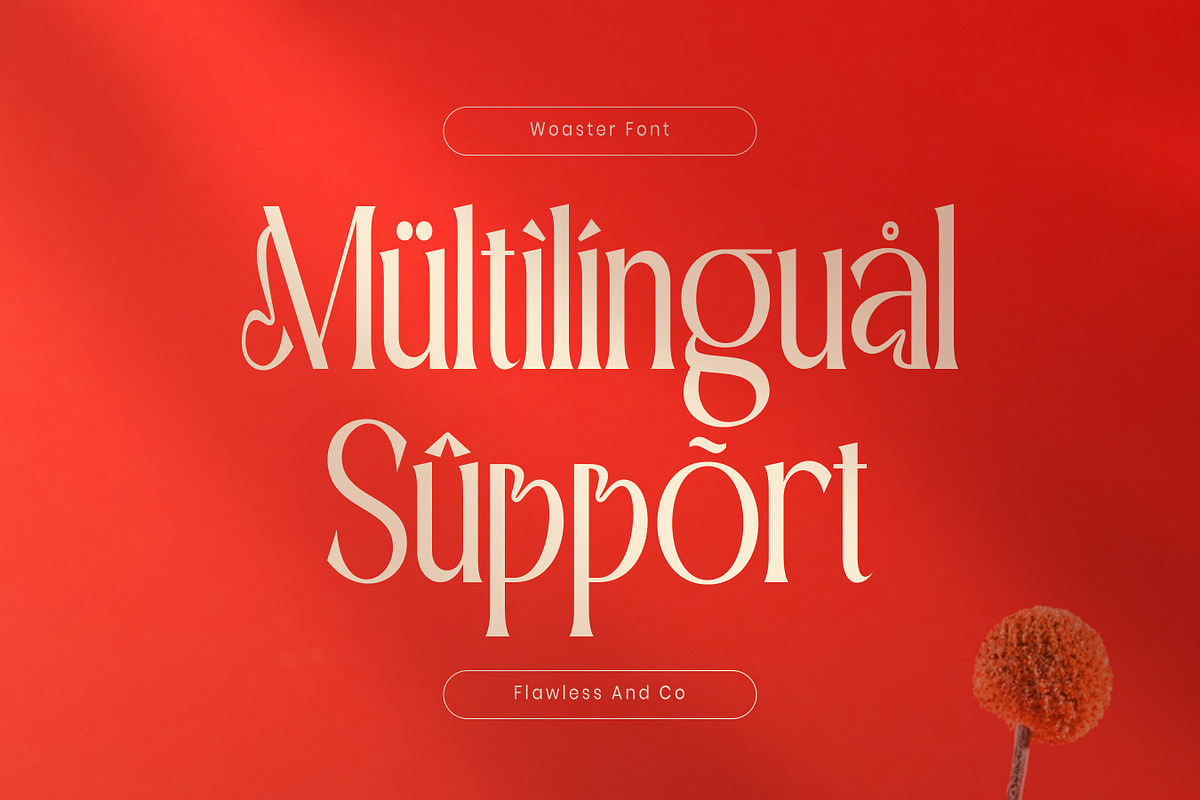 Woaster - Luxury Display Font, a Serif Font by Flawless And Co (Photo 6 of 10)