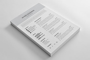 Management Director Resume Template, a Resume Template by Blackcloud_Creations (Thumbnail 4 of 12)