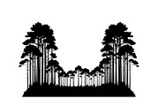 Forest Frame Silhouette SVG Bundle, an Illustration by jahid234 (Thumbnail 13 of 51)