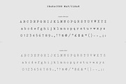 Merchant Ledger - Typewriter Family, a Serif Font by Twinbrush (Thumbnail 9 of 20)