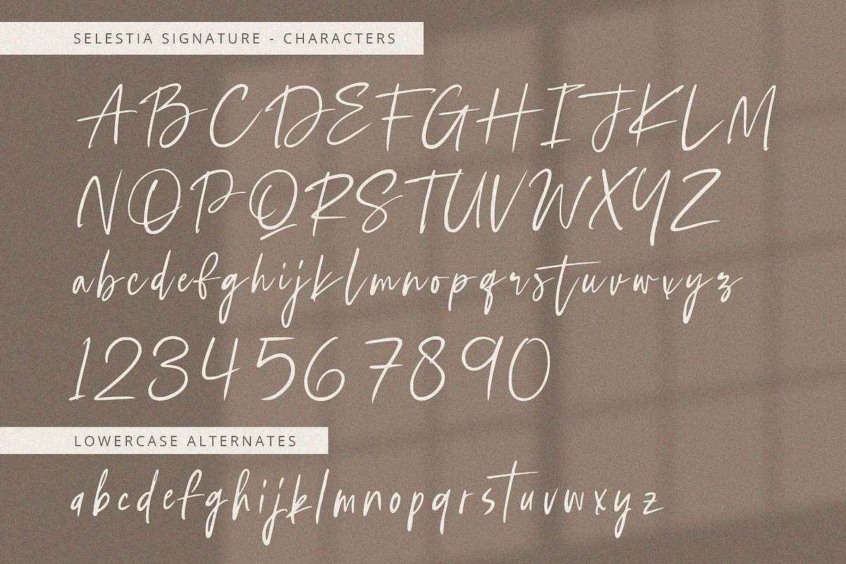 Selestia Signature -Handwritten Font, a Handwritten Font by Alpaprana (Photo 8 of 10)