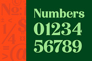 Niecher-Serif Display, a Serif Font by takoliko (Thumbnail 11 of 13)
