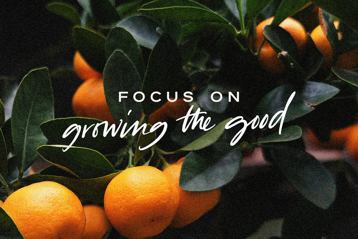 Tangerine Skies Font Free Downloadv - UIFreebies