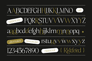 Ristford - Elegant Luxury Serif, a Serif Font by Megatype (Thumbnail 10 of 11)
