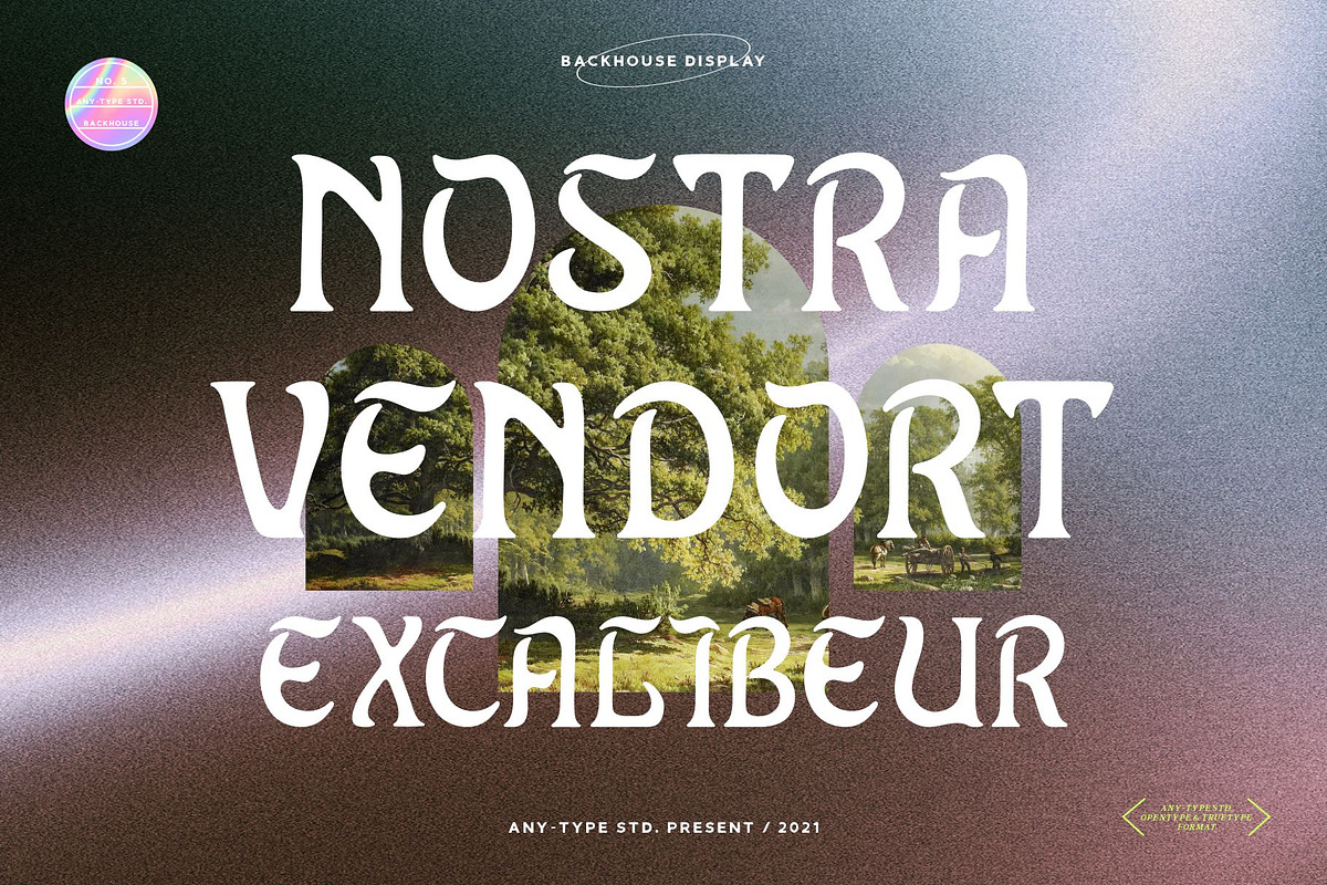 Backhouse Display Font, a Sans Serif Font by Any-Type® Foundry (Photo 10 of 11)