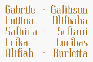 Vittorika Modern Serif Font