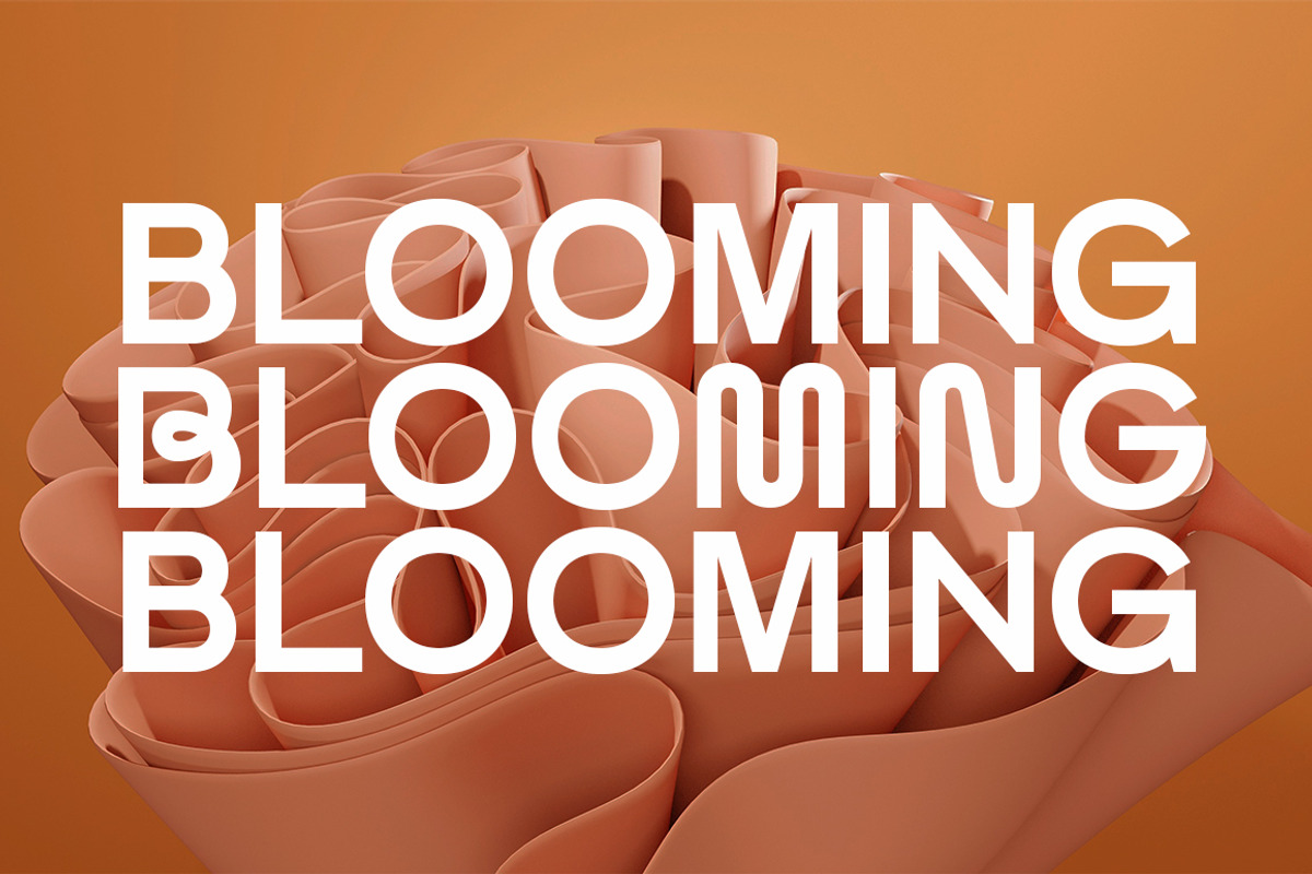 Mansure, a Sans Serif Font by Fargun Studio (Photo 3 of 15)
