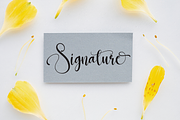 Strong Signature | Script Font, a Script Font by Scratchones (Thumbnail 4 of 6)