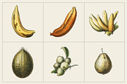 Fruit and Vegetable Art Collection, a Food Illustration by Illusiongraphic (Thumbnail 9 of 14)