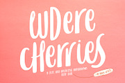 Cherries - 12 Fonts Styles, a Sans Serif Font by Dikas Studio (Thumbnail 1 of 14)