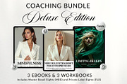 Coaching Bundle EBooks mrr plr, a Brochure Template by CopertiniStudio (Thumbnail 1 of 10)