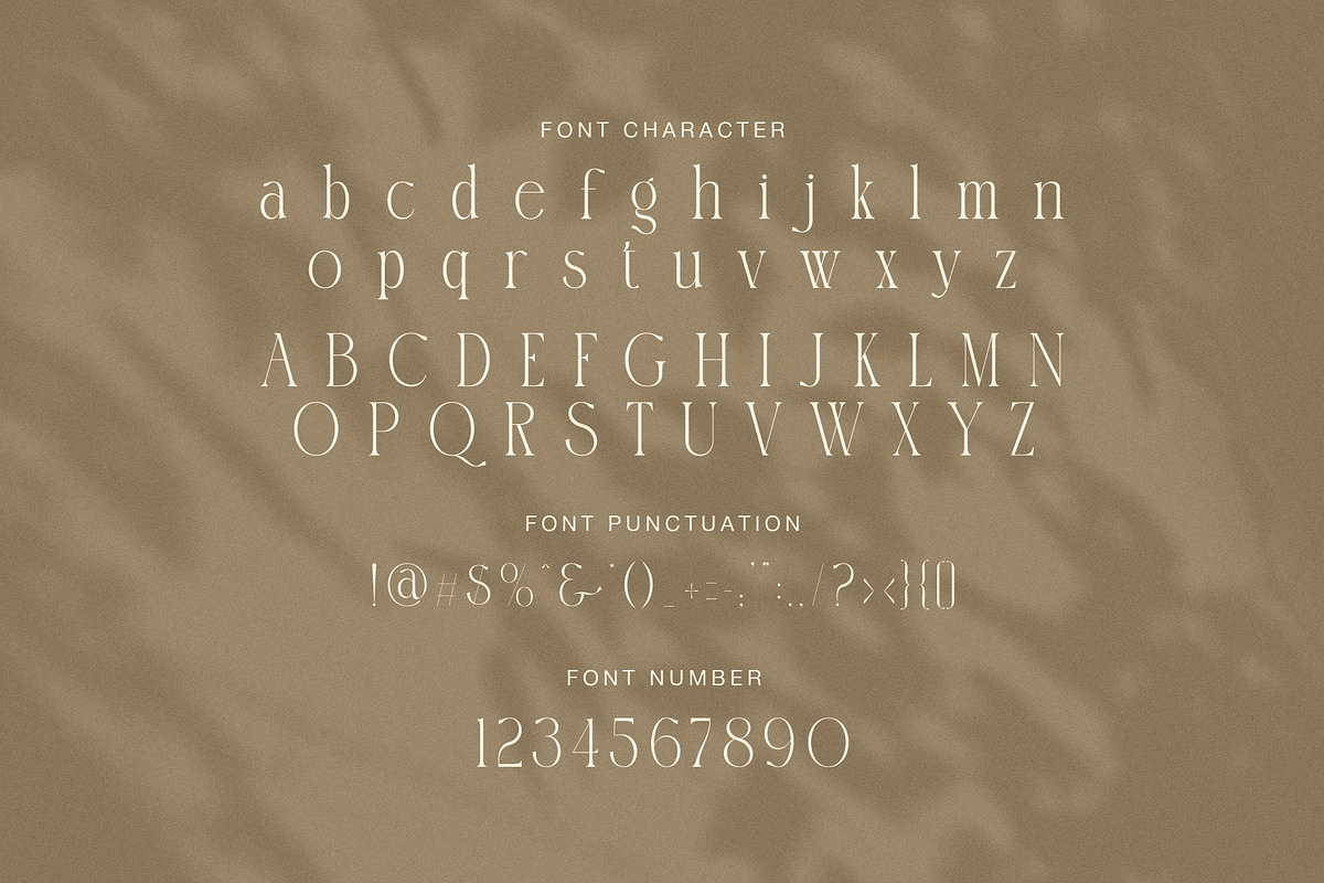 Datte Elegant Serif Display Font, a Serif Font by Graphicxell (Photo 8 of 8)