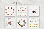 Nutrition & Health Coach Template, a Templates & Theme by Thrive Nutrition Studio (Thumbnail 2 of 9)