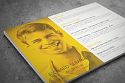 Landscape Resume Template, a Resume Template by Visual Impact (Thumbnail 1 of 4)