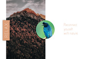Elegant - Font Collection - 7 Fonts, a Sans Serif Font by CorgiAstronaut (Thumbnail 3 of 41)
