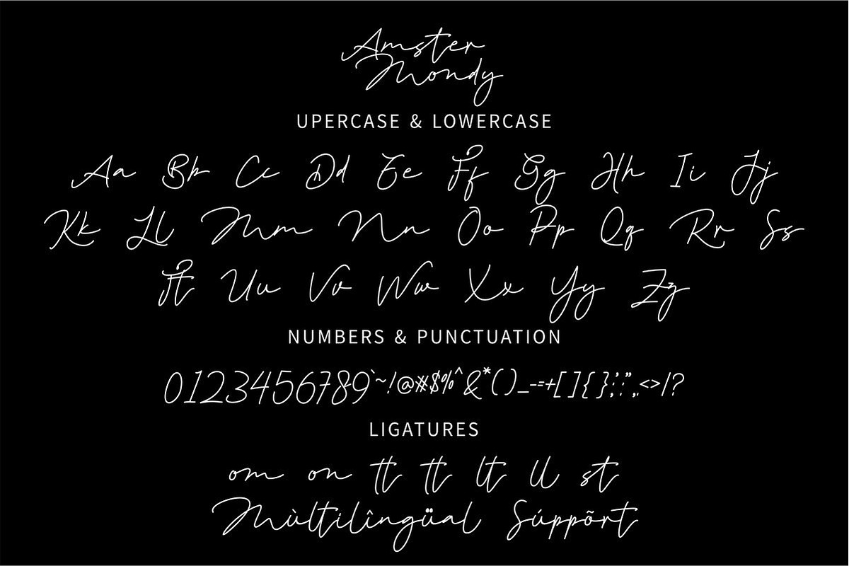Amster Mondy - Monoline Script, a Script Font by GFRcreative (Photo 2 of 4)