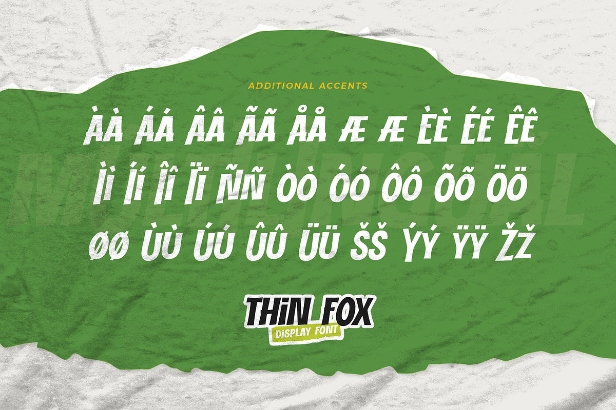 THIN FOX - Display Font, a Font by Gassstype (Photo 7 of 8)