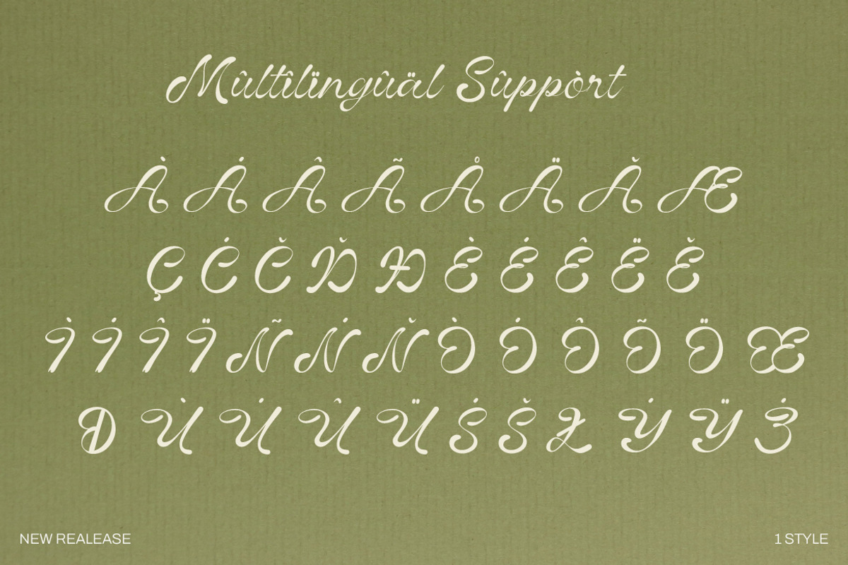 Vinecta - Retro Script Font, a Script Font by Dhabee (Photo 6 of 16)