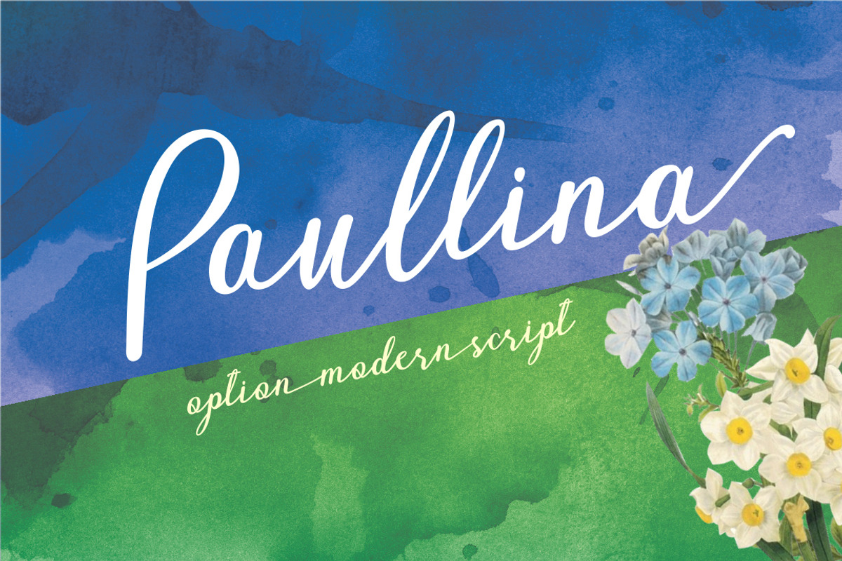 Font Bundle Caligraphy 85%Off, a Script Font by Genesis Lab (Photo 27 of 27)