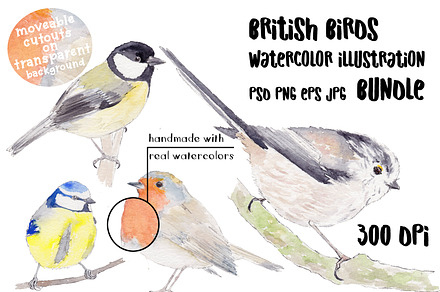 Clipart Watercolor Bird Bundle