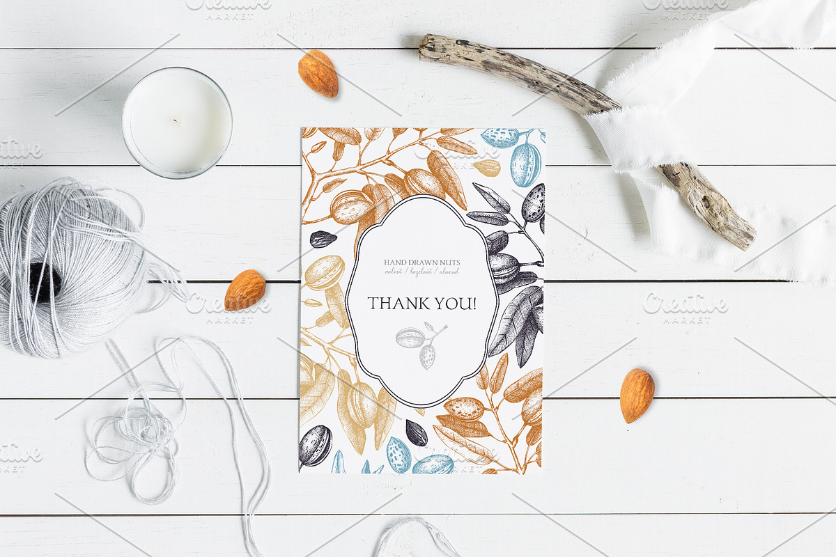 Hand-Drawn Nuts Sketches, a Food Illustration by Yevheniia (Photo 12 of 12)