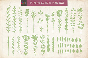 50 Floral Watercolor Vector Brushes