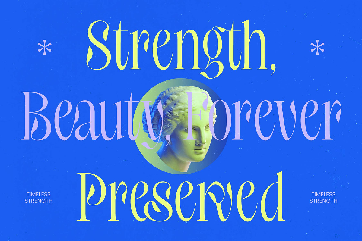 Hakons Serif Display Font, a Serif Font by timelesstype.co (Photo 3 of 10)