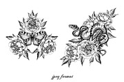 Hand Drawn Peonies, a Decorative Illustration by Valentyna Smordova (Thumbnail 5 of 6)