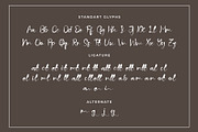 Araso Elegant Script Font, a Script Font by Bilahstudio (Thumbnail 10 of 10)