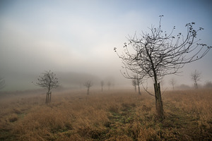 Nebulous days stock photo containing fog and weather
