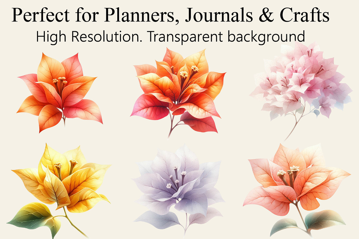 Bougainvillea Flowers Clipart Bundle, an Illustration by Libby Wishes (Photo 2 of 3)
