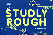 Studly Rough, a Sans Serif Font by Craft Supply Co. (Thumbnail 1 of 8)