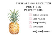 Whimsical Tropical Summer Clipart, an Illustration by DreamPrint404 (Thumbnail 6 of 6)