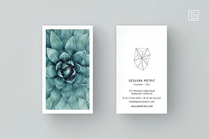 GEOLUNA2 Business Card Template