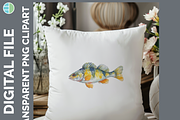 Lake Fish Clipart, 24 PNG Bundle, an Animal Illustration by Enliven Designs (Thumbnail 6 of 8)