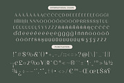 Raslera Modern Serif Display, a Sans Serif Font by timelesstype.co (Thumbnail 19 of 20)