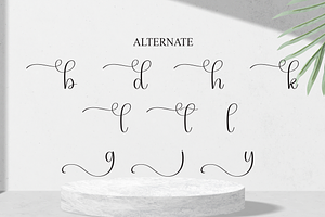 Motanly Script Font