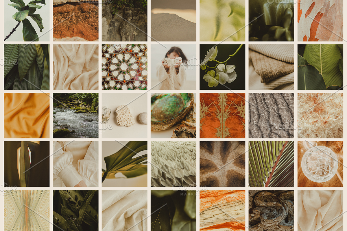 Natural Minimalist Photo Bundle, a Nature Photo by The Flossy Finch (Photo 7 of 15)