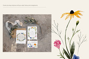 California Wildflowers, a Pattern Graphic by The Audacious Brush (Thumbnail 6 of 9)
