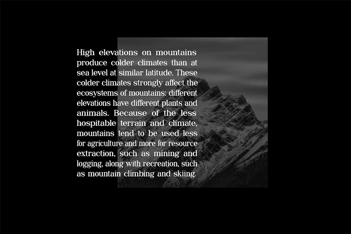 Grillages Modern Serif Font, a Serif Font by UICreative (Photo 10 of 11)
