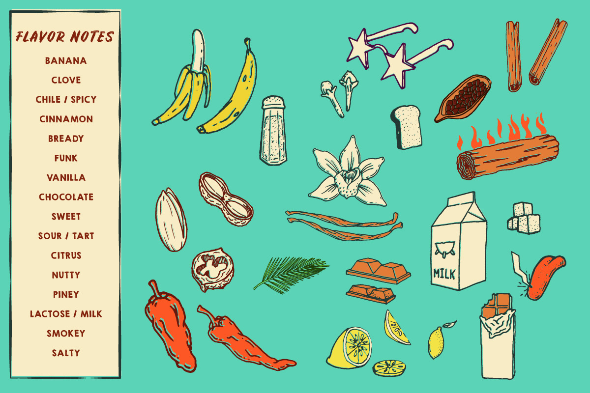 Brewer's Reserve Vector Set, a Food Illustration by Illustrated Everything (Photo 4 of 11)
